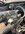 D774F69B-92CF-4C47-A875-AF36E270EA44.jpeg