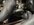 DC612C53-5F3D-4A95-A403-52A445B08FBE.jpeg
