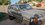 IMG_0690.jpeg