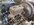 IMG_9860.jpeg