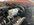 IMG_9861.jpeg