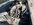 F9DF6500-525F-4753-AB55-7CED0BFF2604.jpeg F9DF6500-525F-4753-AB55-7CED0BFF2604.jpeg