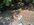 IMG_4822.jpeg