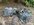 IMG_4828.jpeg
