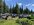 IMG_6175.jpeg IMG_6175.jpeg