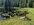 IMG_6177.jpeg IMG_6177.jpeg