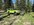 IMG_6190.jpeg IMG_6190.jpeg