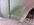 IMG_8427.jpeg