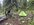 IMG_6919.jpeg