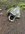 IMG_6933.jpeg