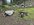 IMG_6934.jpeg