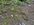 IMG_6935.jpeg
