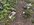IMG_6936.jpeg