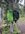 IMG_6937.jpeg
