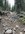 IMG_6941.jpeg