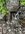 IMG_6942.jpeg