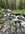 IMG_6943.jpeg