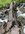 IMG_6944.jpeg