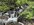 IMG_6945.jpeg