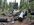 IMG_6946.jpeg