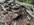 IMG_6947.jpeg