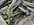 IMG_6948.jpeg