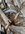 IMG_6951.jpeg