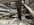 IMG_6952.jpeg