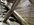IMG_6953.jpeg