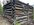 IMG_6956.jpeg