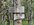 IMG_6971.jpeg