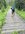 IMG_6972.jpeg