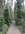 IMG_6974.jpeg