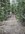 IMG_6976.jpeg