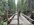 IMG_6977.jpeg