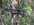 IMG_6986.jpeg
