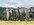 IMG_6989.jpeg