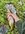 IMG_5724.jpeg