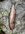 IMG_5717.jpeg