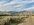 IMG_8175.jpeg IMG_8175.jpeg