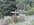 IMG_8176.jpeg IMG_8176.jpeg