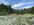 IMG_8177.jpeg IMG_8177.jpeg