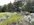 IMG_8178.jpeg IMG_8178.jpeg