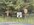 IMG_8179.jpeg IMG_8179.jpeg