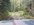 IMG_8181.jpeg IMG_8181.jpeg