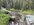 IMG_8182.jpeg IMG_8182.jpeg