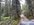 IMG_8183.jpeg IMG_8183.jpeg