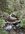 IMG_8185.jpeg IMG_8185.jpeg