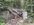 IMG_8186.jpeg IMG_8186.jpeg
