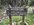 IMG_8192.jpeg IMG_8192.jpeg